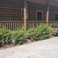 Cabin Staining 104