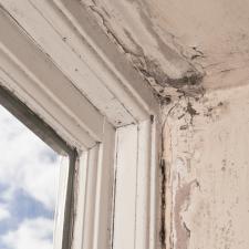 Rotten wood replacement
